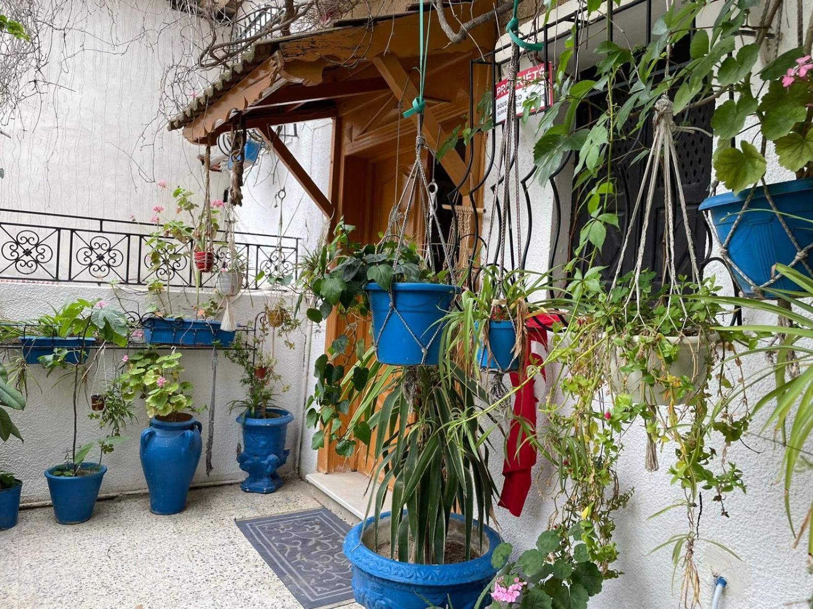 Casa Zitouna - Guest House - Kef, Tunisia Sicca Veneria Buitenkant foto