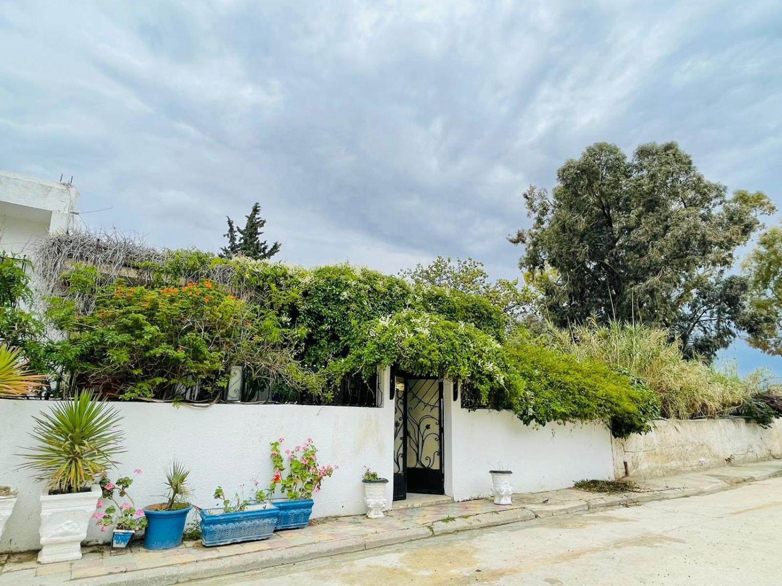 Casa Zitouna - Guest House - Kef, Tunisia Sicca Veneria Buitenkant foto